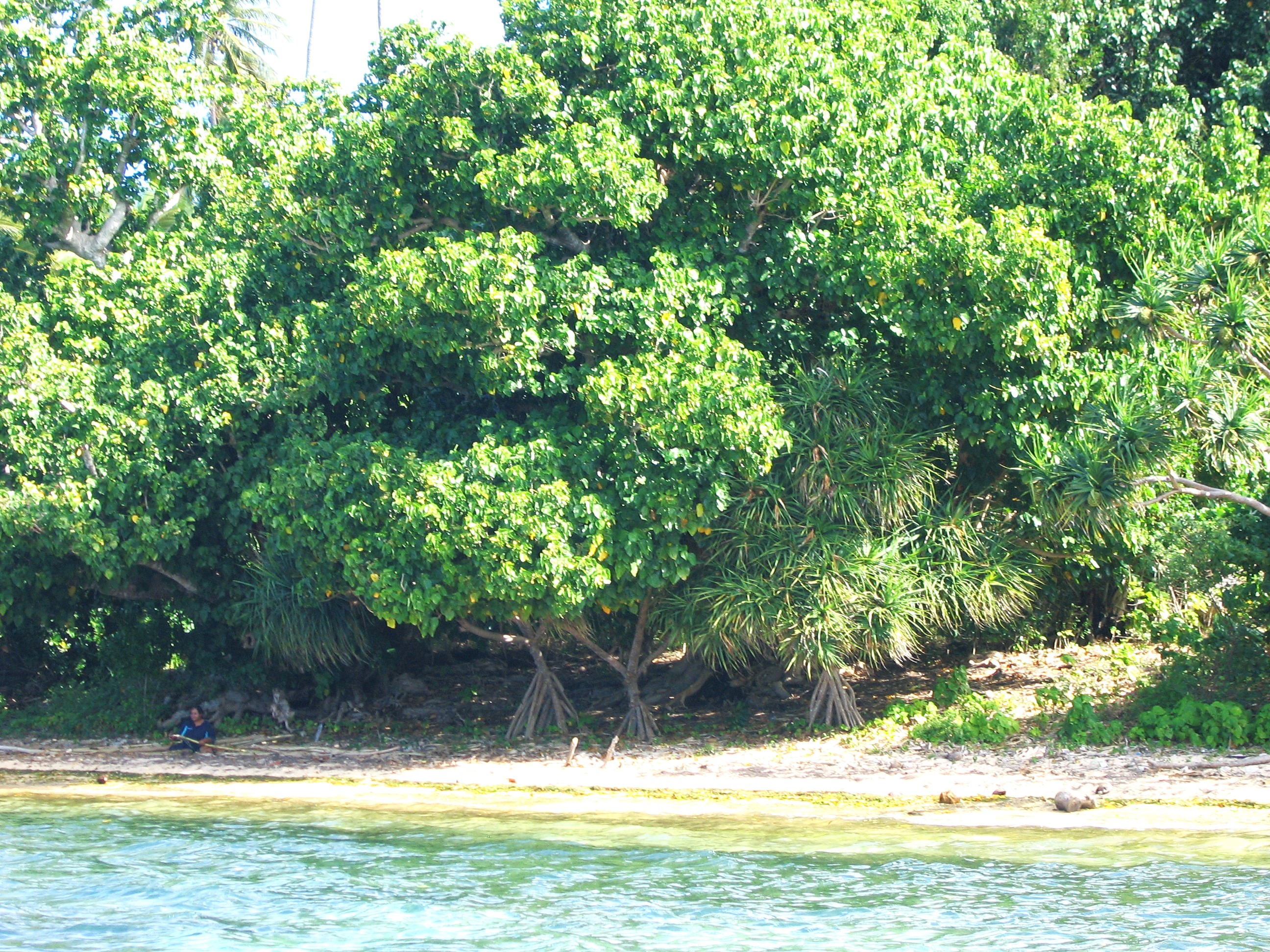 Kapa Island beach, Tonga SouthPacificRealEstate